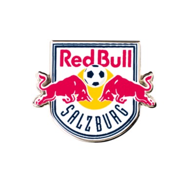 Logo Anstecker